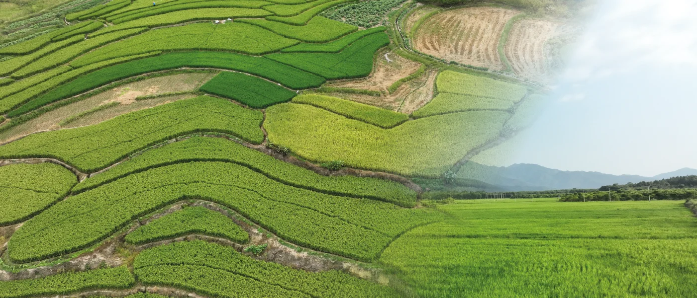 Mavic3M-Fondo-DJI-Portada-Geotop-Instop-Topografiacentral-Cotizar-distribuidores-autorizados
